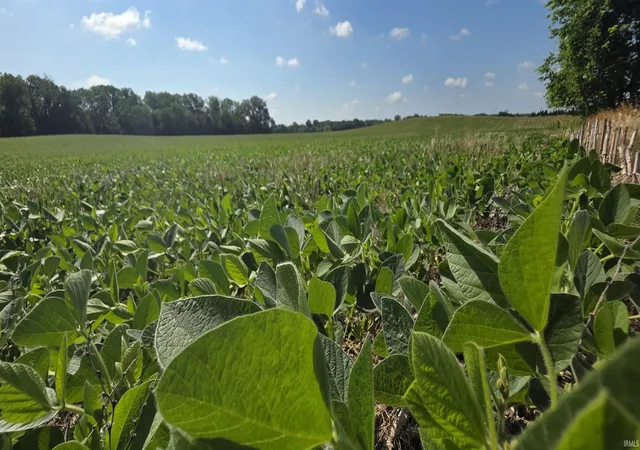 Photo 3 of Land for sale at 972 N 300 West Rd, Washington, IN 47501 | MLS# 202623369 | Listing updated on 2026-06-25