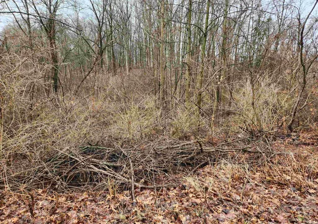 2nd image of Tbd E Koher Rd #10, Syracuse, IN 46567 | MLS# 202623455