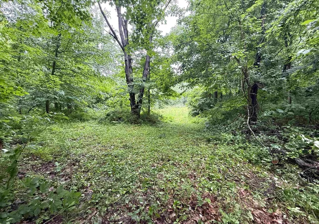 37th image of Vl Madison Bet Oak & Mulberry, South Bend, IN 46601 | MLS# 202624193