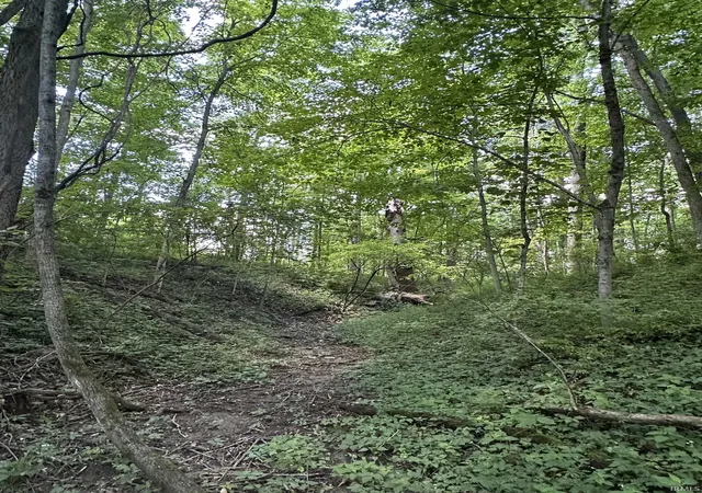 3rd image of 4645 S West County Line Rd, Fort Wayne, IN 46814 | MLS# 202625899