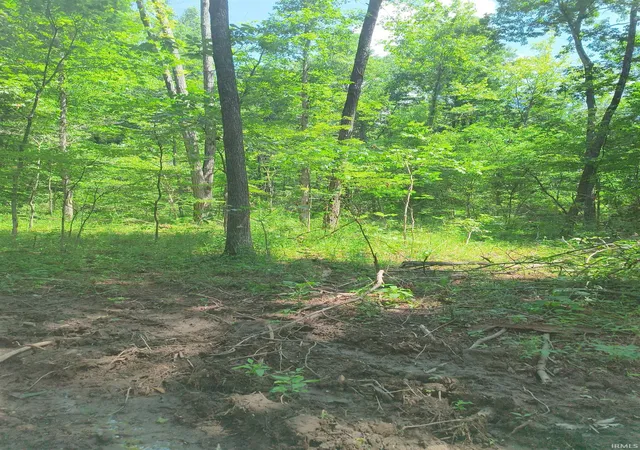 4th image of 2500 S Coalmine Lot 2 Rd, Bloomfield, IN 47424 | MLS# 202626082