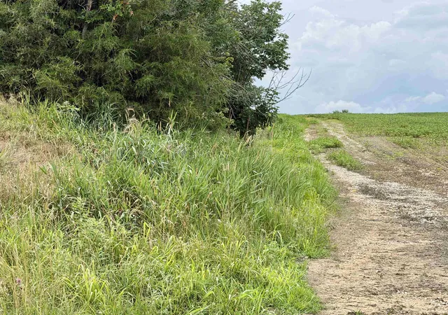 Photo 3 of Sale Pending at Off Ziegler Rd, Loogootee, IN 47553 | MLS# 202626220 | Listing updated on 2026-08-18