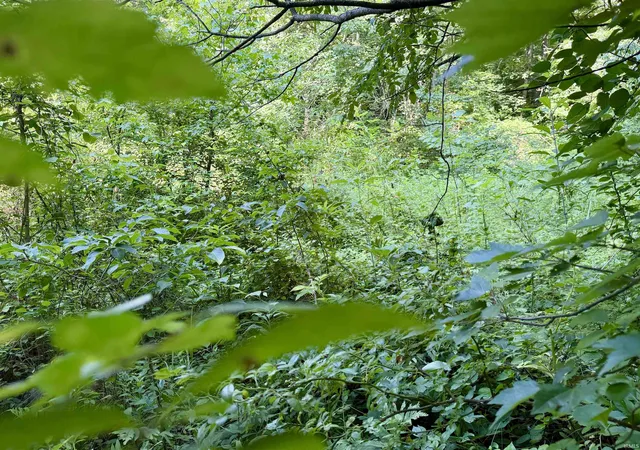 Photo 36 of Land for sale at Off State Rd 545, Evanston, IN 47531 | MLS# 202626873 | Listing updated on 2026-07-07