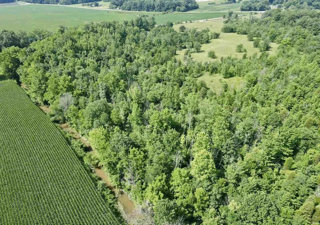 Photo 4 of Land for sale at Off State Rd 545, Evanston, IN 47531 | MLS# 202626873 | Listing updated on 2026-07-07