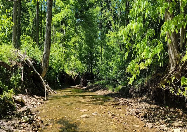 5th image of 00 Nw Side N Leval Ratt Rd, Scottsburg, IN 47170 | MLS# 202627061