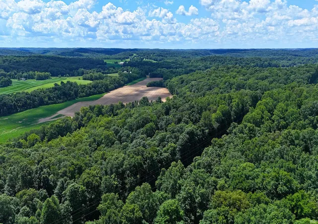 Photo 1 of Land for sale at 40 Acres 8669 Bird Ln, Shoals, IN 47581 | MLS# 202627262 | Listing updated on 2026-09-01