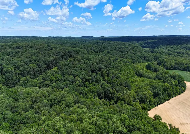 Photo 2 of Land for sale at 40 Acres 8669 Bird Ln, Shoals, IN 47581 | MLS# 202627262 | Listing updated on 2026-09-01