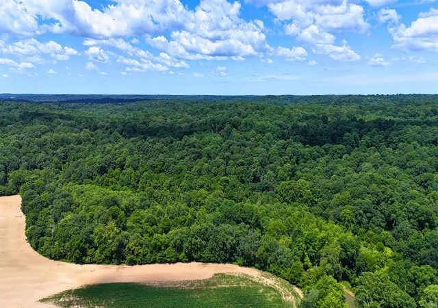 Photo 4 of Land for sale at 40 Acres 8669 Bird Ln, Shoals, IN 47581 | MLS# 202627262 | Listing updated on 2026-09-01