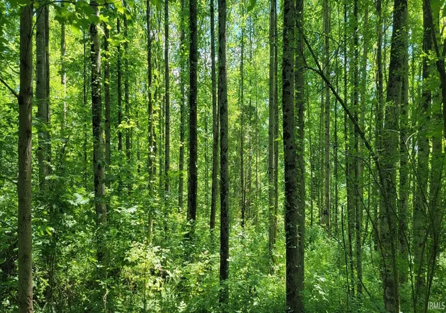 Photo 4 of Land for sale at 3234 Acre 8669 Bird Ln, Shoals, IN 47581 | MLS# 202627267 | Listing updated on 2026-09-01