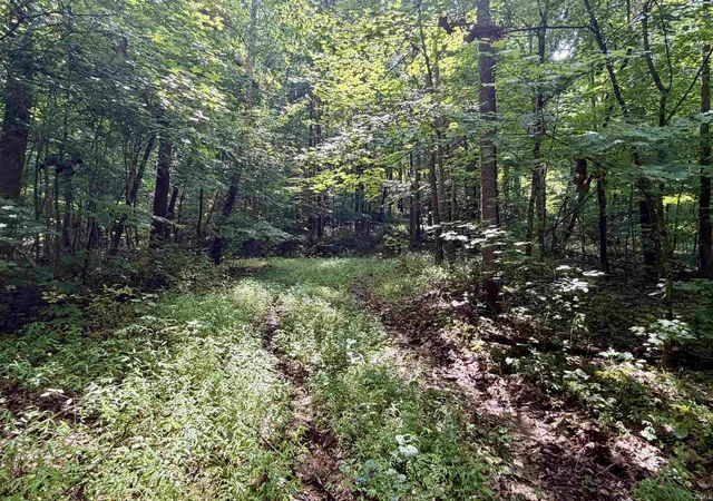 5th image of Off Candlestick Rd, Bristow, IN 47515 | MLS# 202627424