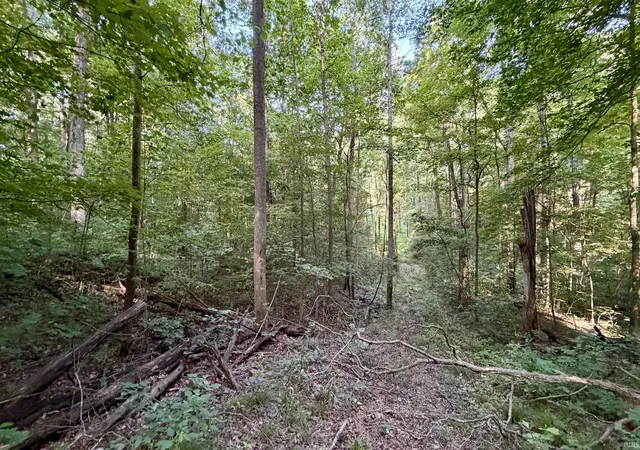 Homes for sale in French Lick, IN | Off Co Rd 750 S, French Lick, IN 47432 | MLS# 202627636