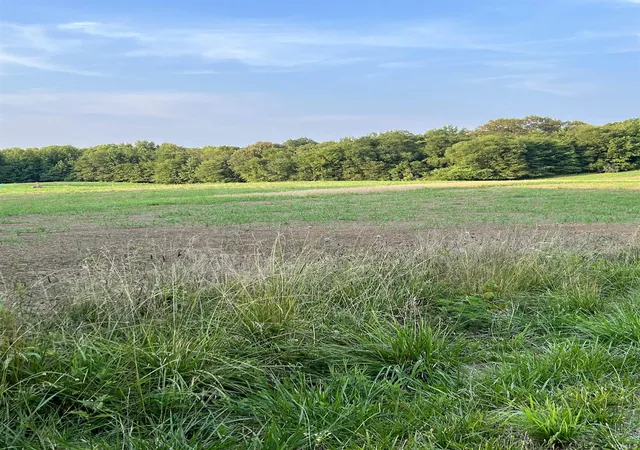 Photo 2 of Land for sale at 0 N County Rd 1475, Lamar, IN 47550 | MLS# 202627873 | Listing updated on 2026-07-13