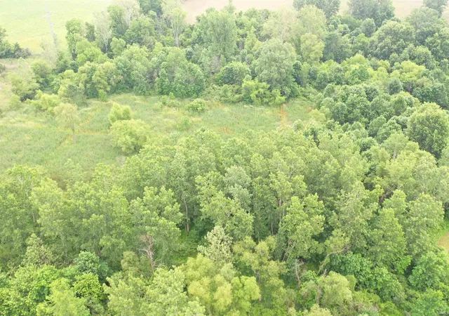 Photo 13 of Land for sale at 0 N State Rd 9, Alexandria, IN 46001 | MLS# 202627987 | Listing updated on 2026-07-14