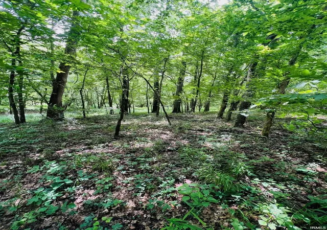Photo 3 of Land for sale at 6195 Ashford Cir, Newburgh, IN 47630 | MLS# 202629286 | Listing updated on 2026-07-21