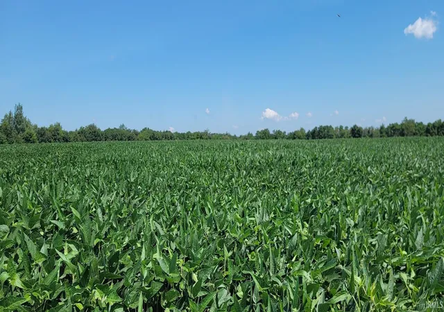 Photo 3 of Sale Pending at 26+/- S Acres Wampler Rd, Bicknell, IN 47512 | MLS# 202629292 | Listing updated on 2026-08-19