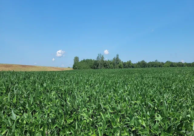Photo 4 of Sale Pending at 26+/- S Acres Wampler Rd, Bicknell, IN 47512 | MLS# 202629292 | Listing updated on 2026-08-19