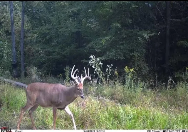 Photo 3 of Land for sale at Lot 1 Deer Crk Rd, Cannelton, IN 47520 | MLS# 202629888 | Listing updated on 2026-07-24