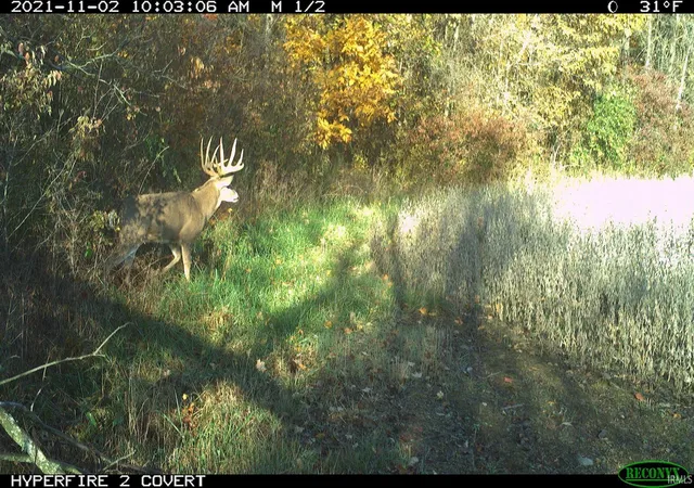 Photo 2 of Land for sale at Vl N Cr 800 E, Albany, IN 47320 | MLS# 202630173 | Listing updated on 2026-07-27