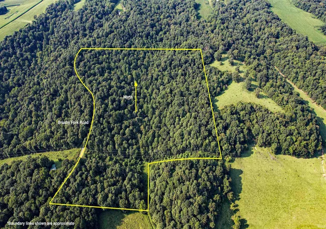 Photo 1 of Land for sale at Brushy Frk Rd, Tell City, IN 47586 | MLS# 202631092 | Listing updated on 2026-07-31