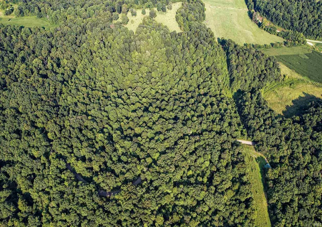Photo 2 of Land for sale at Brushy Frk Rd, Tell City, IN 47586 | MLS# 202631092 | Listing updated on 2026-07-31
