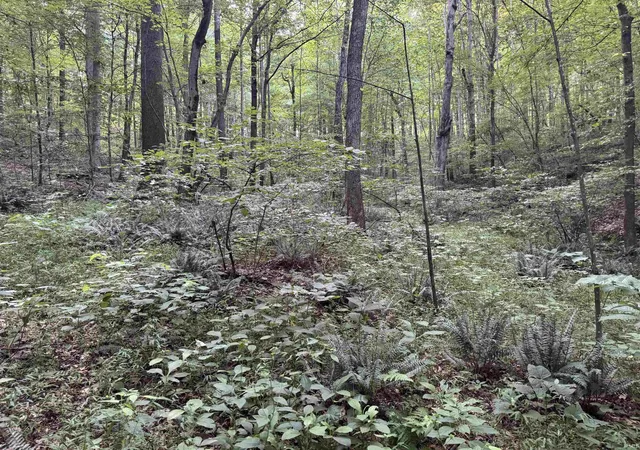 Photo 47 of Land for sale at Brushy Frk Rd, Tell City, IN 47586 | MLS# 202631092 | Listing updated on 2026-07-31