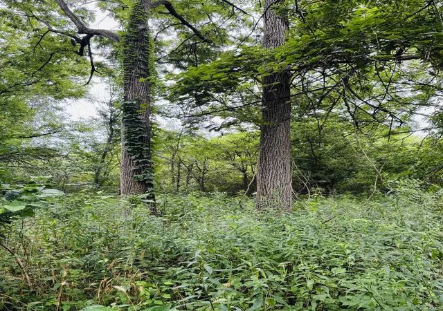 Photo 4 of Land for sale at 0 Mcdaniel Rd, Terre Haute, IN 47802 | MLS# 202631182 | Listing updated on 2026-08-04