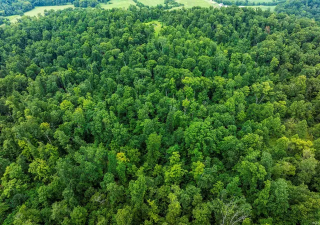 Photo 8 of Land for sale at 7996 E State Rd 54, Bloomfield, IN 47424 | MLS# 202631237 | Listing updated on 2026-09-05