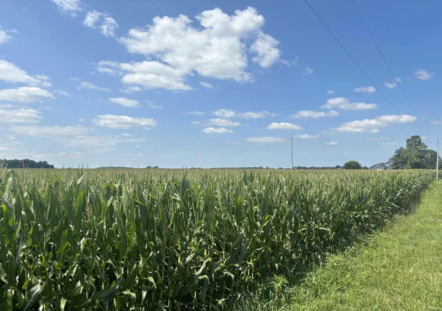 Photo 3 of Land for sale at W Cr 1300 N, Gaston, IN 47342 | MLS# 202631745 | Listing updated on 2026-09-24