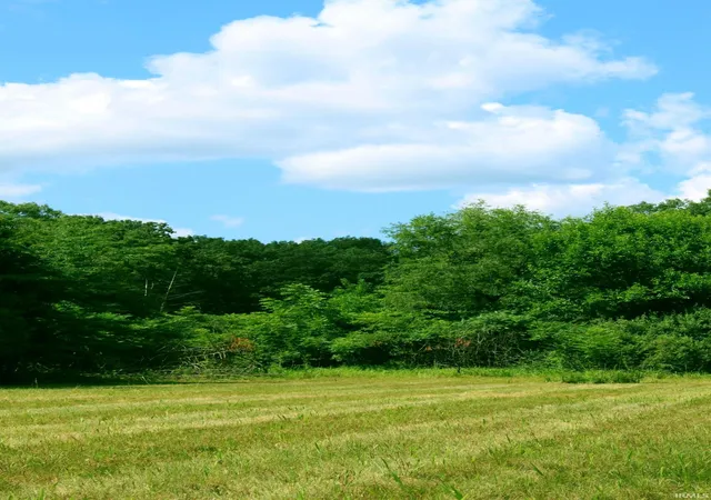 Photo 1 of Land for sale at 500 N 50 West, Winamac, IN 46996 | MLS# 202631923 | Listing updated on 2026-08-06