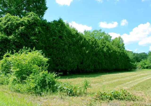 Photo 2 of Land for sale at 500 N 50 West, Winamac, IN 46996 | MLS# 202631923 | Listing updated on 2026-08-06