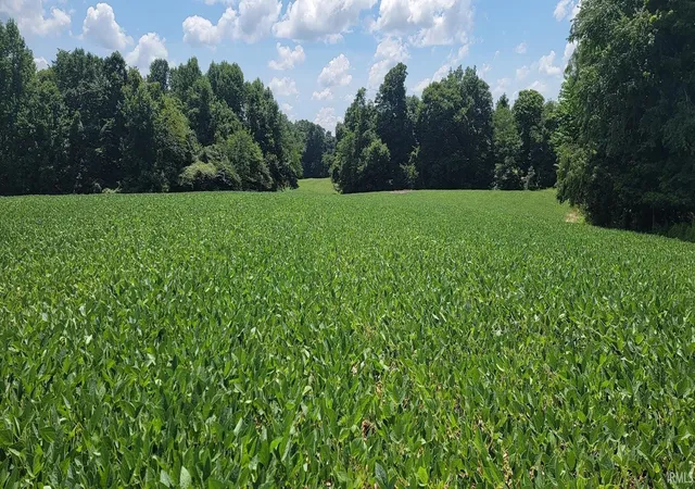 Photo 4 of Land for sale at 34 Jasper Mckeaigg Rd, Bedford, IN 47421 | MLS# 202631978 | Listing updated on 2026-09-01