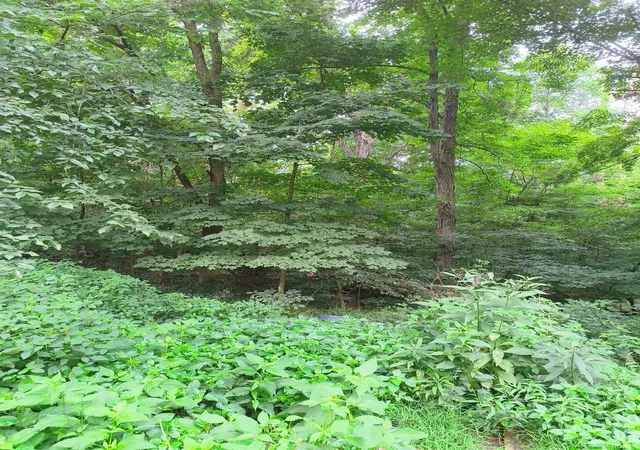 Photo 2 of Land for sale at 1921 Country Clb Rd, Spencer, IN 47460 | MLS# 202631982 | Listing updated on 2026-08-24