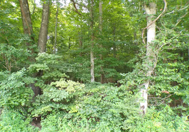 Photo 1 of Land for sale at 0 S Co Rd 350 W Blvd, Paoli, IN 47454 | MLS# 202632054 | Listing updated on 2026-09-13