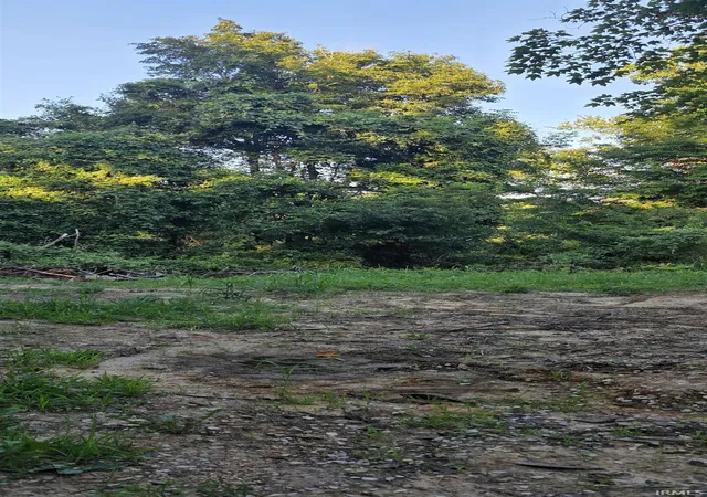 Photo 3 of Land for sale at N State Rd 550, Bruceville, IN 47516 | MLS# 202632107 | Listing updated on 2026-08-28