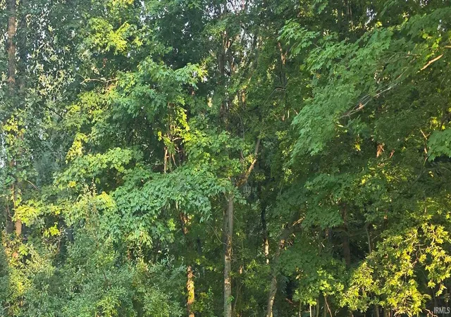 Photo 4 of Land for sale at N State Rd 550, Bruceville, IN 47516 | MLS# 202632107 | Listing updated on 2026-08-28