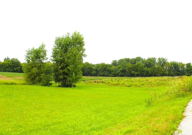 Photo 3 of Land for sale at 570 W Union St, Waterloo, IN 46793 | MLS# 202633083 | Listing updated on 2026-08-14