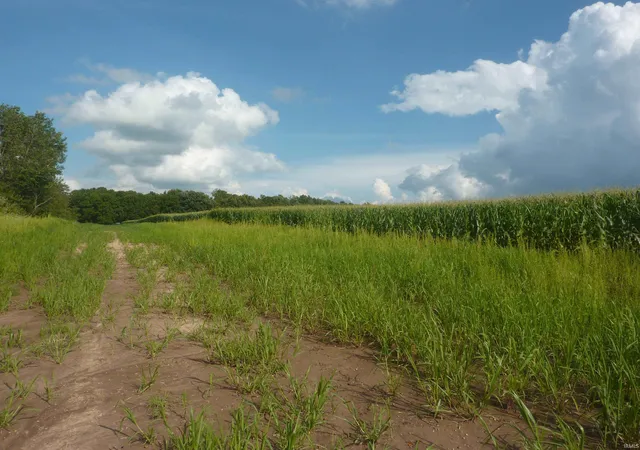 Photo 1 of Land for sale at 7505 S Old State Rd 15, La Fontaine, IN 46940 | MLS# 202633437 | Listing updated on 2026-08-24