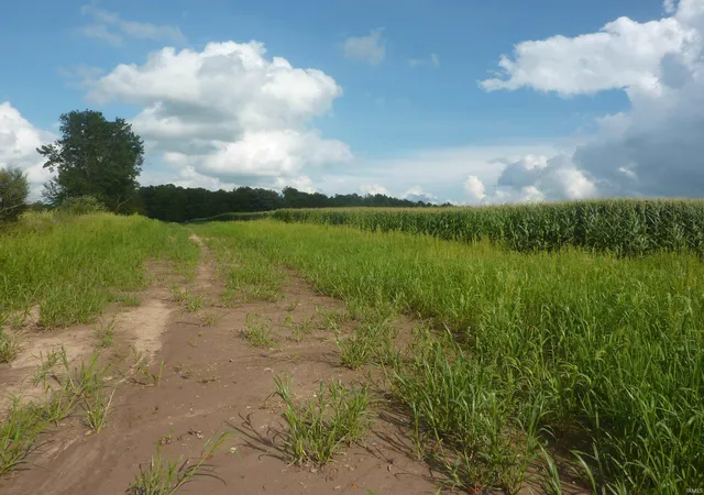 Photo 2 of Land for sale at 7505 S Old State Rd 15, La Fontaine, IN 46940 | MLS# 202633437 | Listing updated on 2026-08-24