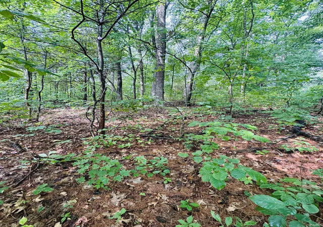 Photo 1 of Land for sale at 0 State Rd 45 Hwy, Bloomfield, IN 47424 | MLS# 202633518 | Listing updated on 2026-08-25