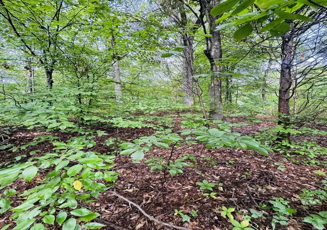 Photo 2 of Land for sale at 0 State Rd 45 Hwy, Bloomfield, IN 47424 | MLS# 202633518 | Listing updated on 2026-08-25