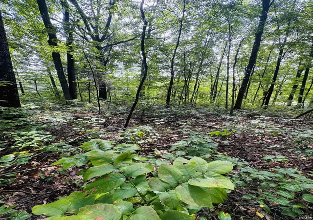 Photo 2 of Land for sale at 0 State Rd 45 Hwy, Bloomfield, IN 47424 | MLS# 202633518 | Listing updated on 2026-08-25