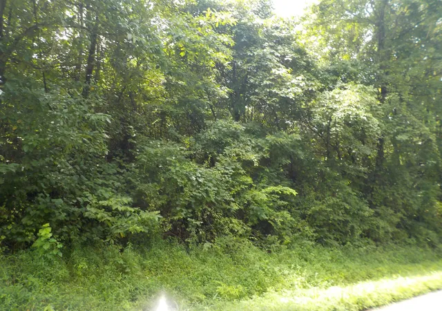 Photo 1 of Sale Pending at 0 E Cr 457 S Rd, Winslow, IN 47598 | MLS# 202634343 | Listing updated on 2026-09-21