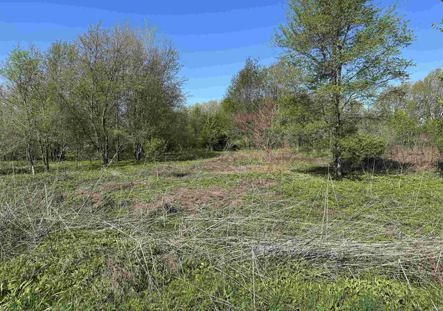 Photo 1 of Land for sale at 0 Us 20 Hwy, New Carlisle, IN 46552 | MLS# 202634759 | Listing updated on 2026-09-11