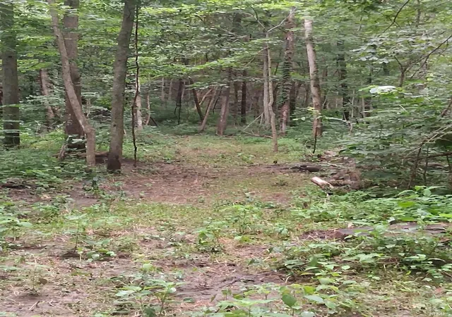 Photo 2 of Land for sale at 1076 N Country Club Rd, Peru, IN 46979 | MLS# 202634985 | Listing updated on 2026-08-26