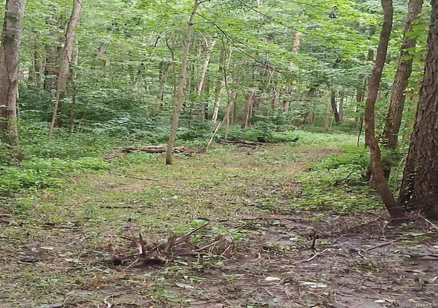 Photo 3 of Land for sale at 1076 N Country Club Rd, Peru, IN 46979 | MLS# 202634985 | Listing updated on 2026-08-26
