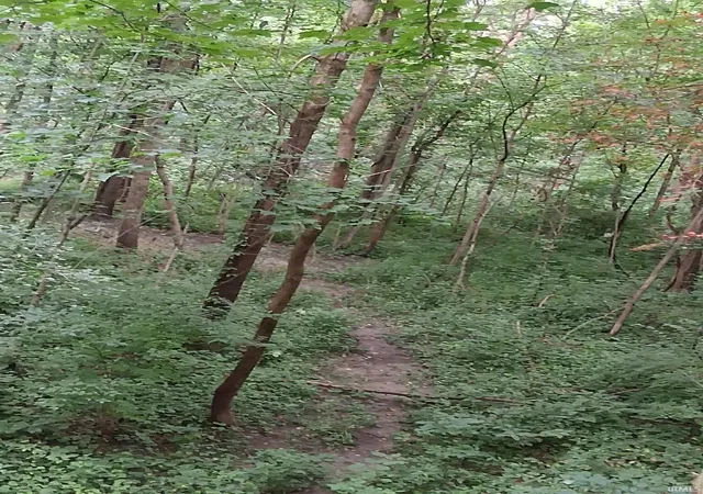 Photo 4 of Land for sale at 1076 N Country Club Rd, Peru, IN 46979 | MLS# 202634985 | Listing updated on 2026-08-26