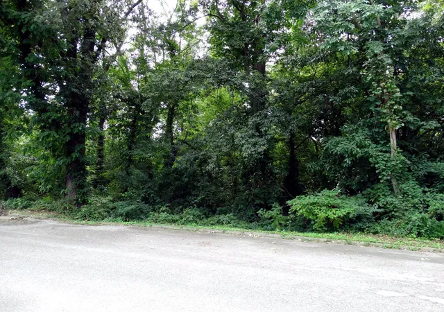 Photo 3 of Land for sale at 3901 3907 3913 Frisse Ave, Evansville, IN 47714 | MLS# 202634995 | Listing updated on 2026-08-26