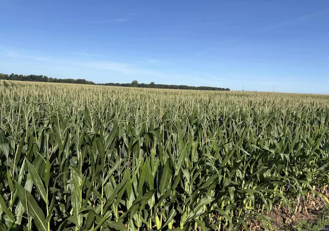 Photo 4 of Land for sale at 6810 S Warren Rd, Warren, IN 46792 | MLS# 202635030 | Listing updated on 2026-09-03
