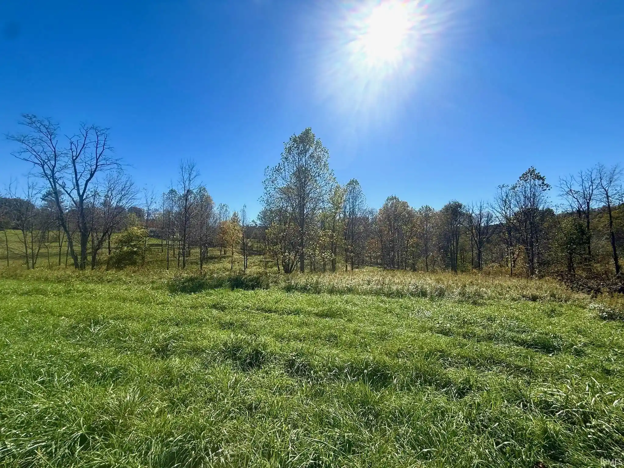 Photo 1 of Land for sale at Tbd Grand View (tract Four) Rd, Williams, IN 47470 | MLS# 202643171 | Listing updated on 2026-10-18