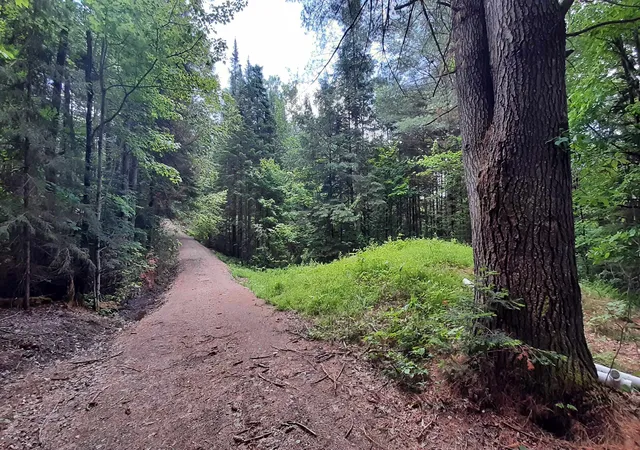 Photo 1 of Land for sale at 0 Route 155, Weston, VT 05161 | MLS# 4905774 | Listing updated on 2026-06-02